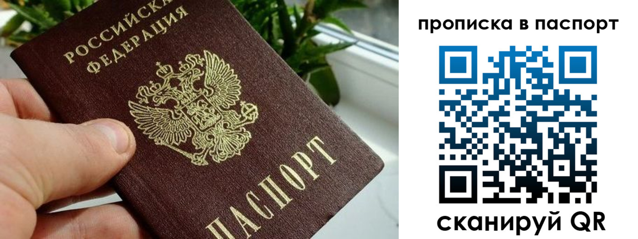 временная регистрация купить в Северске